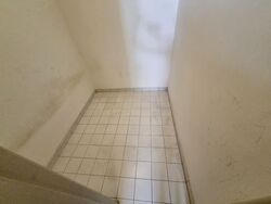 Royal Palm Mansions (D5), Condominium #430523181